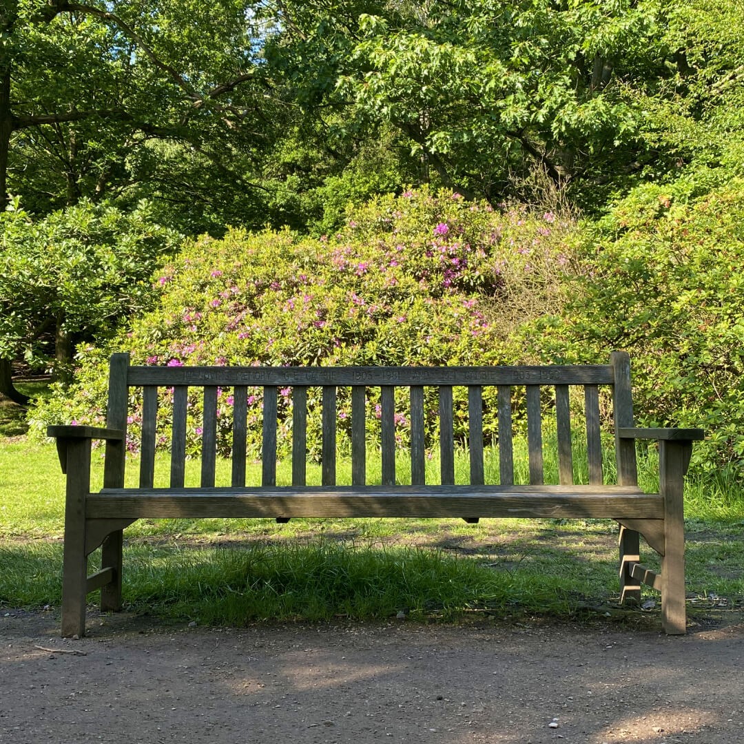 One of the many benches at Golden Acre Park